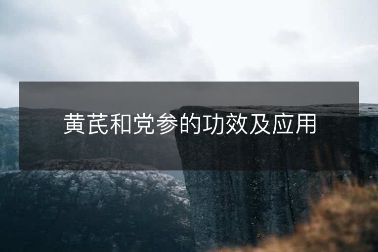 黄芪和党参的功效及应用 黄芪和党参的功效及应用