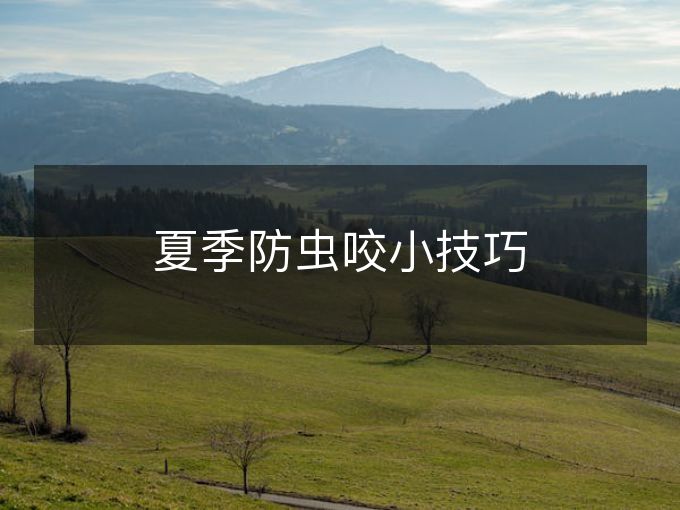 夏季防虫咬小技巧 夏季防虫咬小技巧
