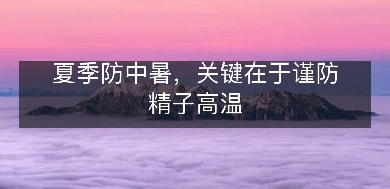 夏季防中暑,关键在于谨防精子高温 夏季防中暑,关键在于谨防精子高温